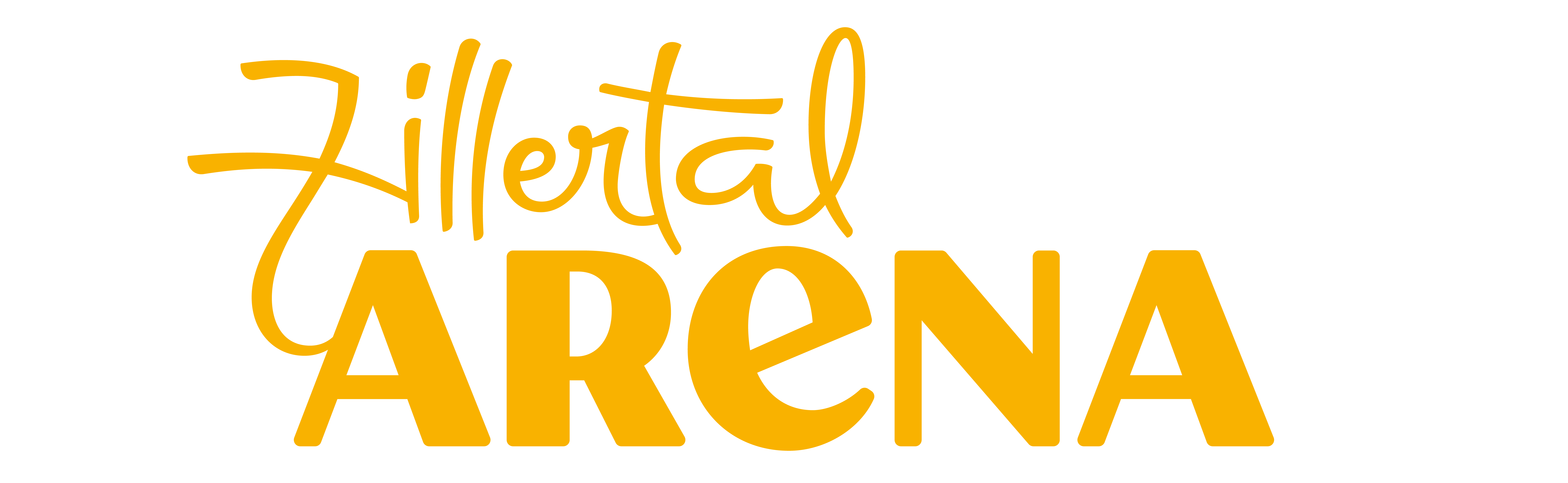 Informationen Zillertal Arena
